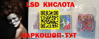 гашик Берёзовский