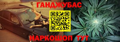 сатива Аргун