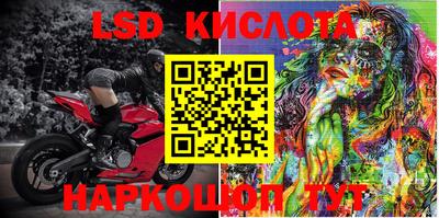 гашик Берёзовский