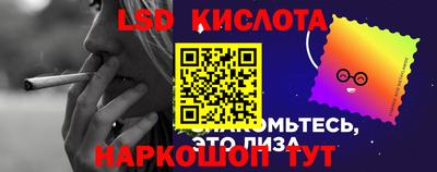 гашик Берёзовский