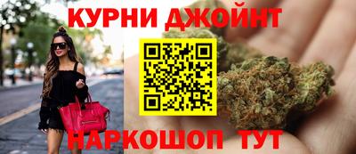 сатива Аргун