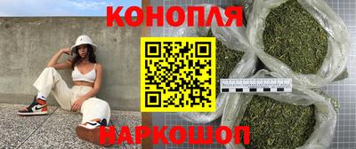 гашик Берёзовский