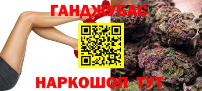 гашик Берёзовский