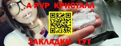 спайс Берёзовский