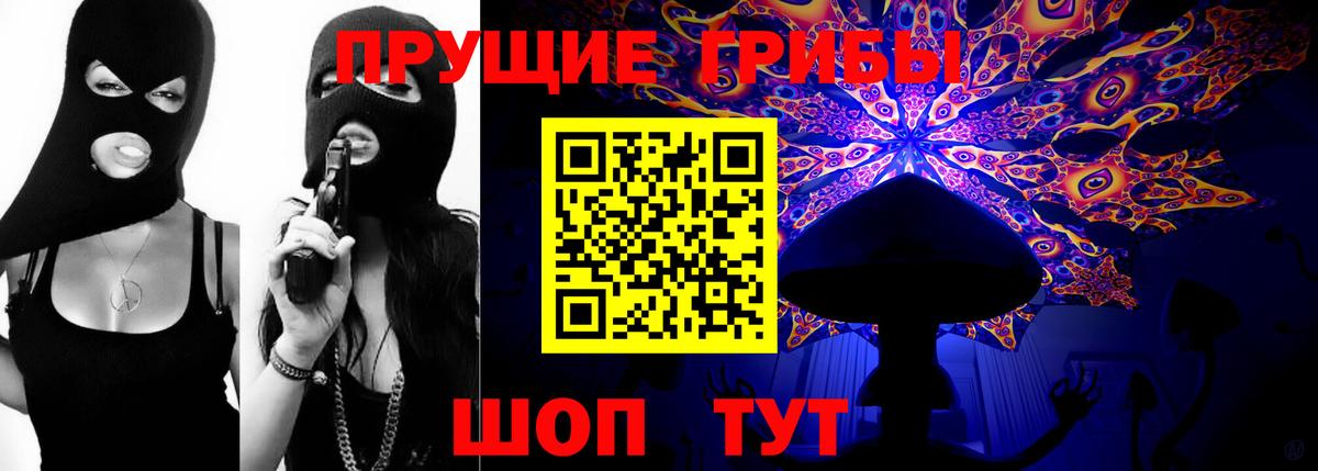 Псилоцибиновые грибы Psilocybine cubensis  Богданович 